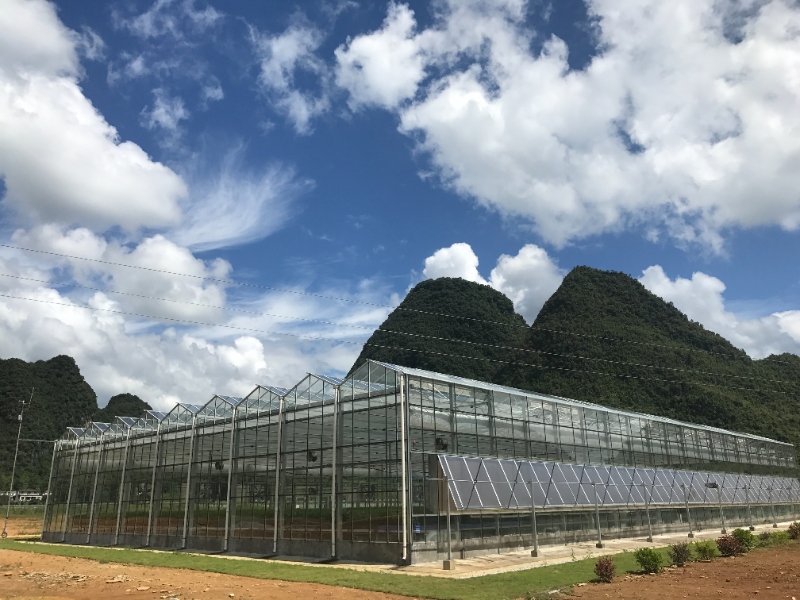 Nursery Glasshouse