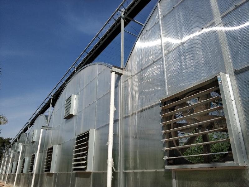 Nursery Greenhouse