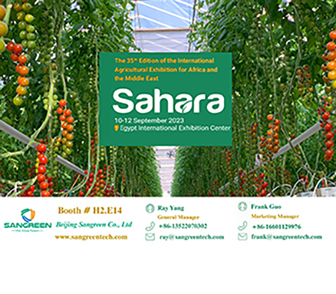 Sangreen will show at Sahara Egypt 2023