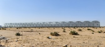 Greenhouse Project in Saudi Arabia is Under Installation